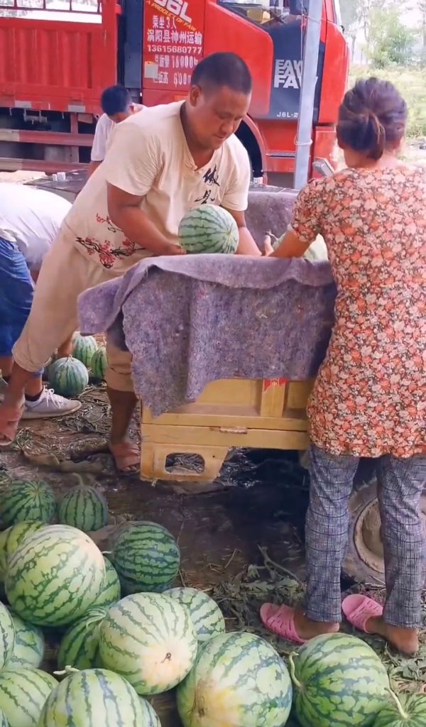 农民卖西瓜一个赚7毛，一天完成3000个，日入2000的赚钱项目！